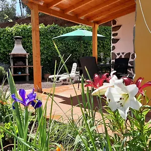 https://barrancolaurel.in-canary-islands.com